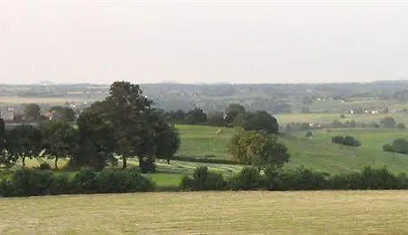 De Mechelse Herder